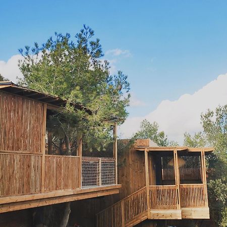 Villa Occitana Calvisson Kültér fotó