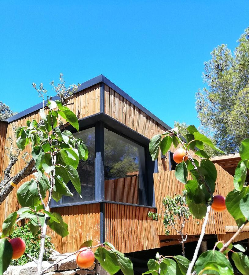 Villa Occitana Calvisson Kültér fotó